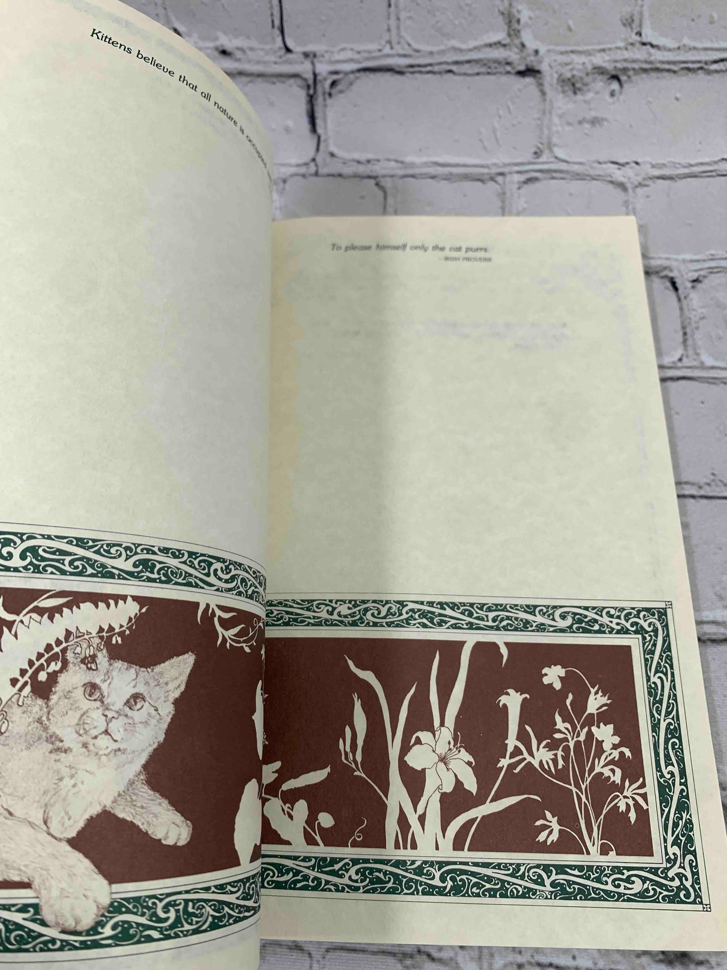 The Cat Notebook