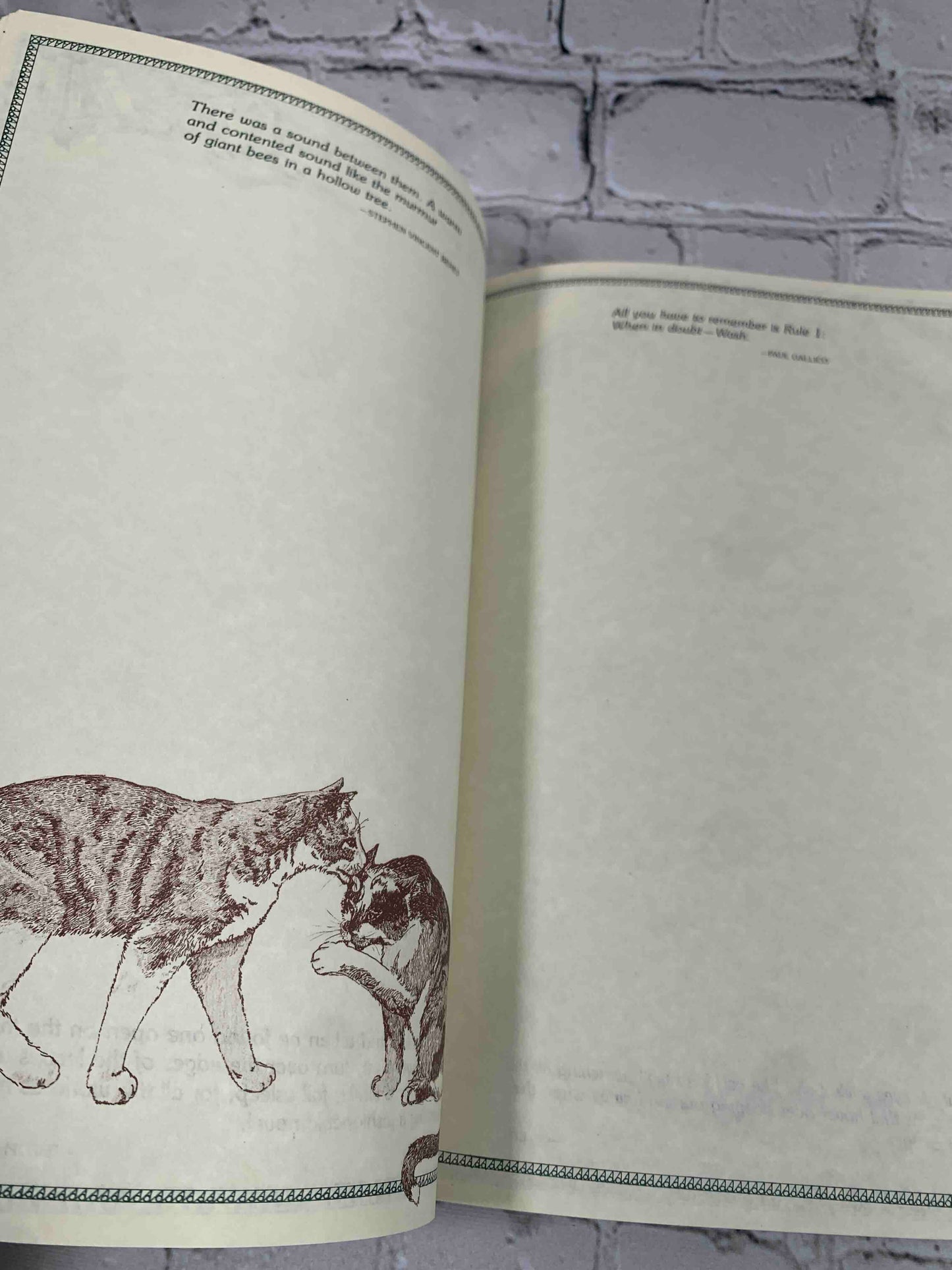 The Cat Notebook