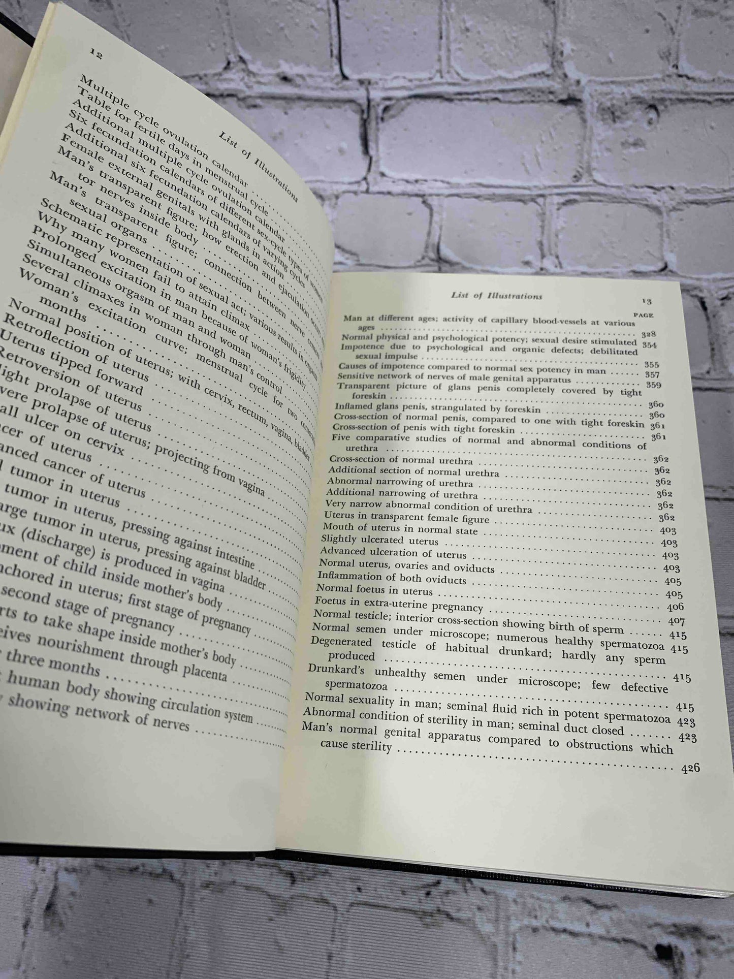 The Illustrated Encyclopedia of Sex