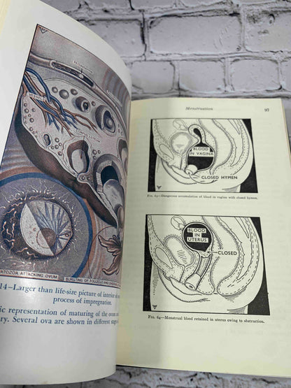 The Illustrated Encyclopedia of Sex