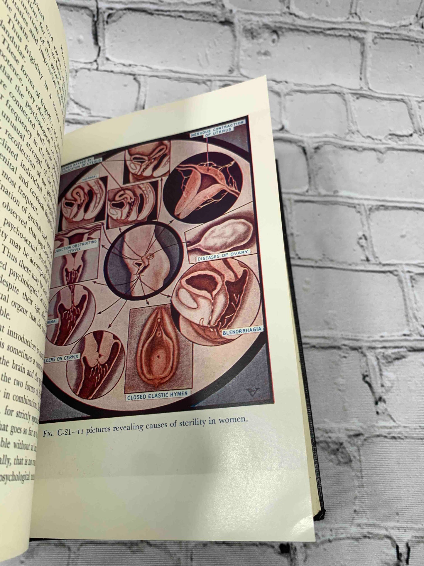 The Illustrated Encyclopedia of Sex