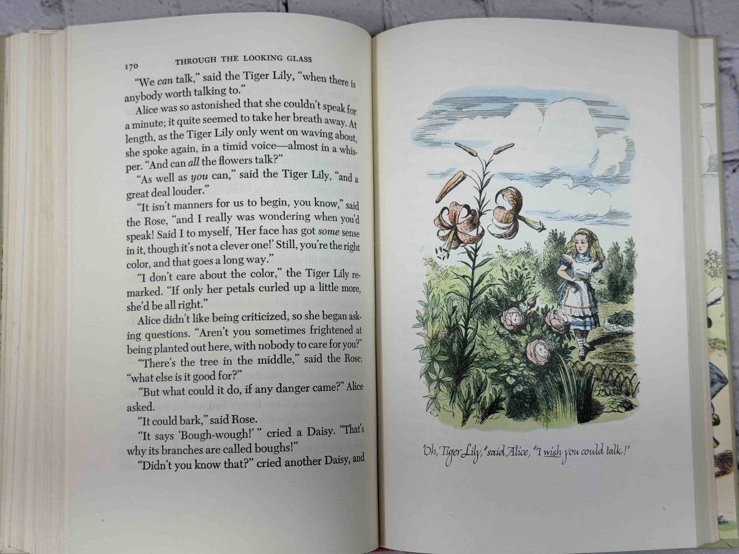 Alice in Wonderland & Through the Looking Glass