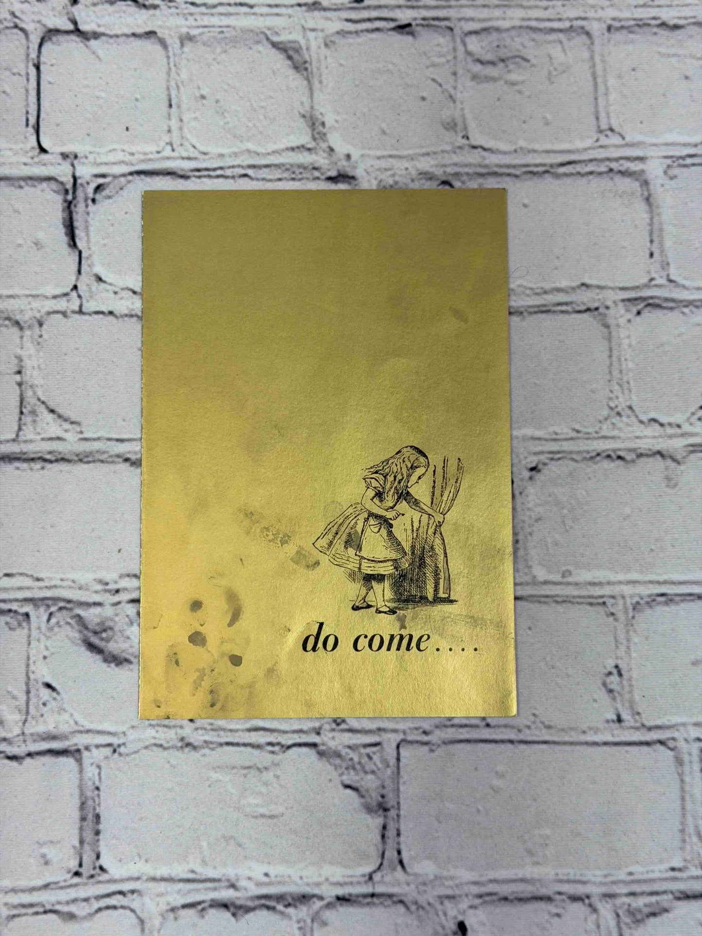 Alice in Wonderland & Through the Looking Glass