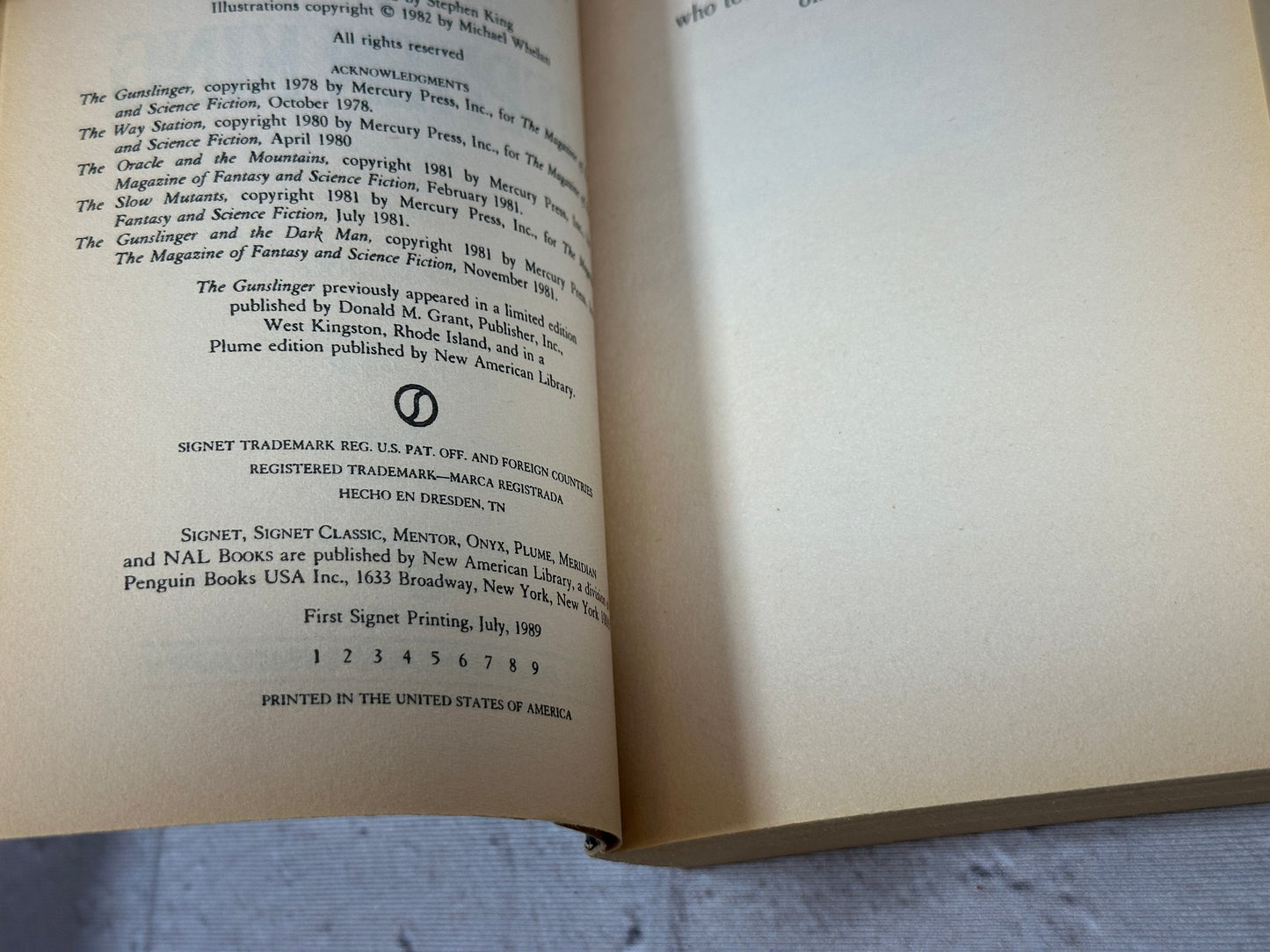 The Gunslinger (Dark Tower)