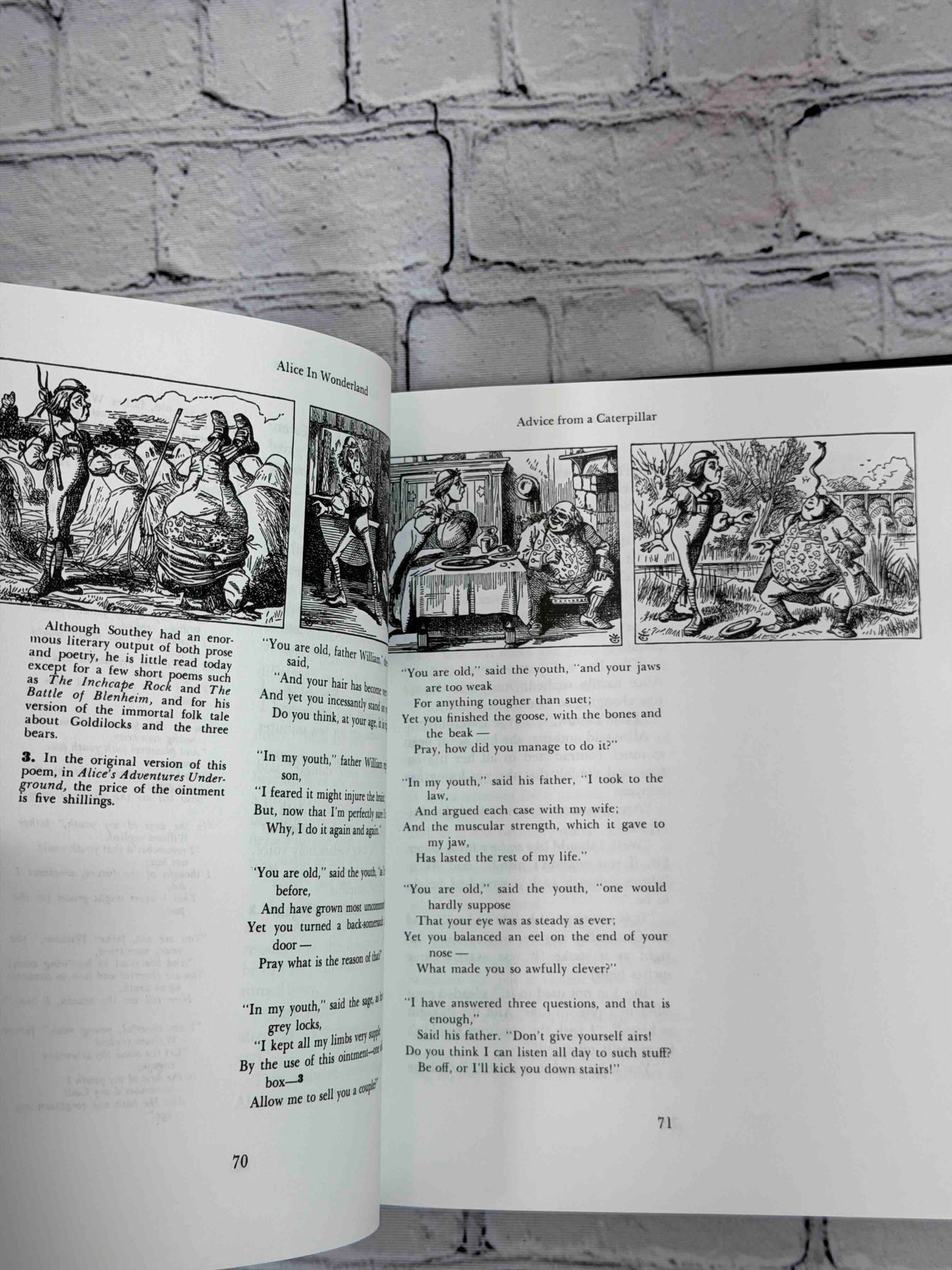 The Annotated Alice