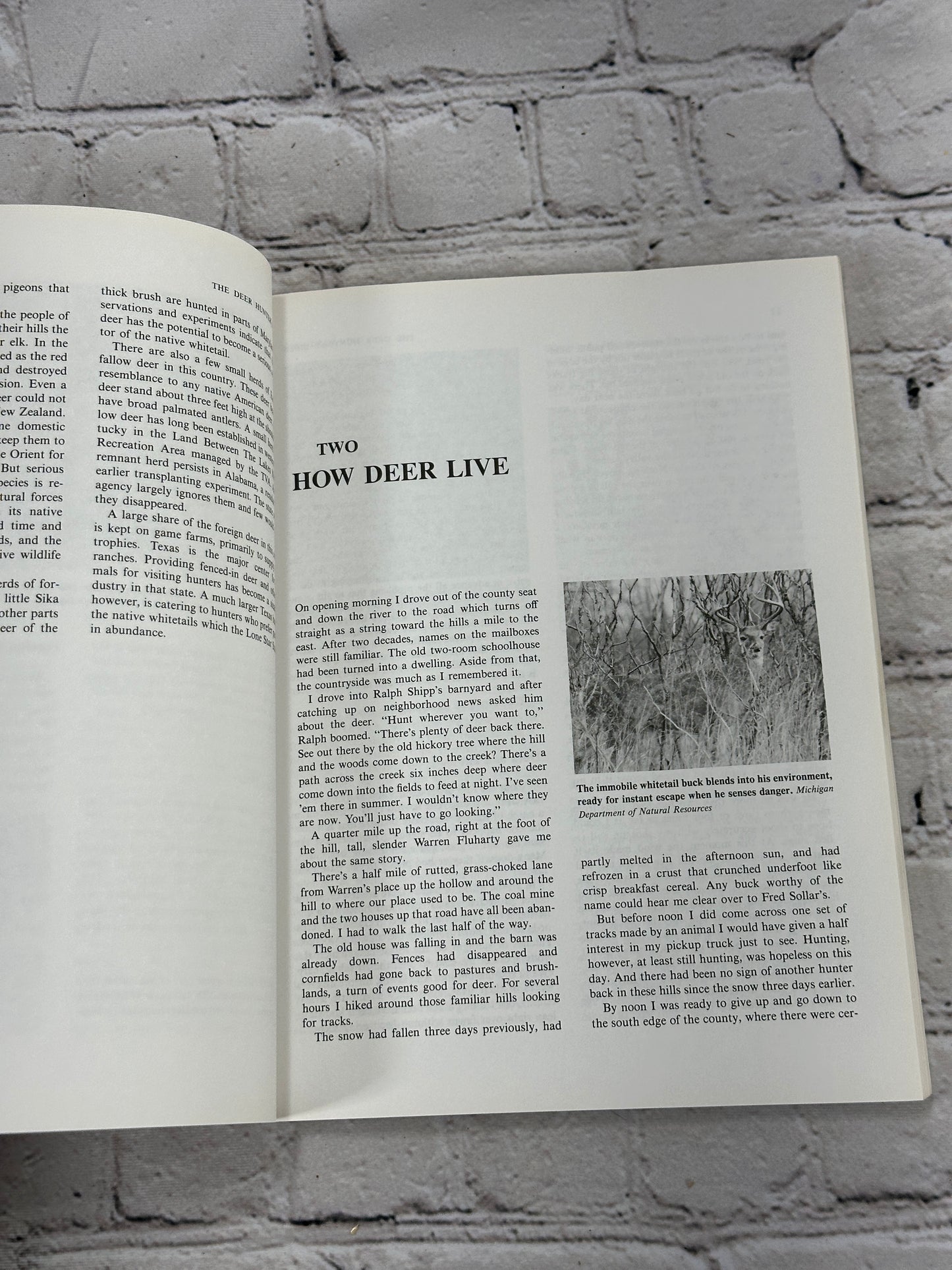 The Deer Hunters Bible by George Laycock [4th Edition · 1986]