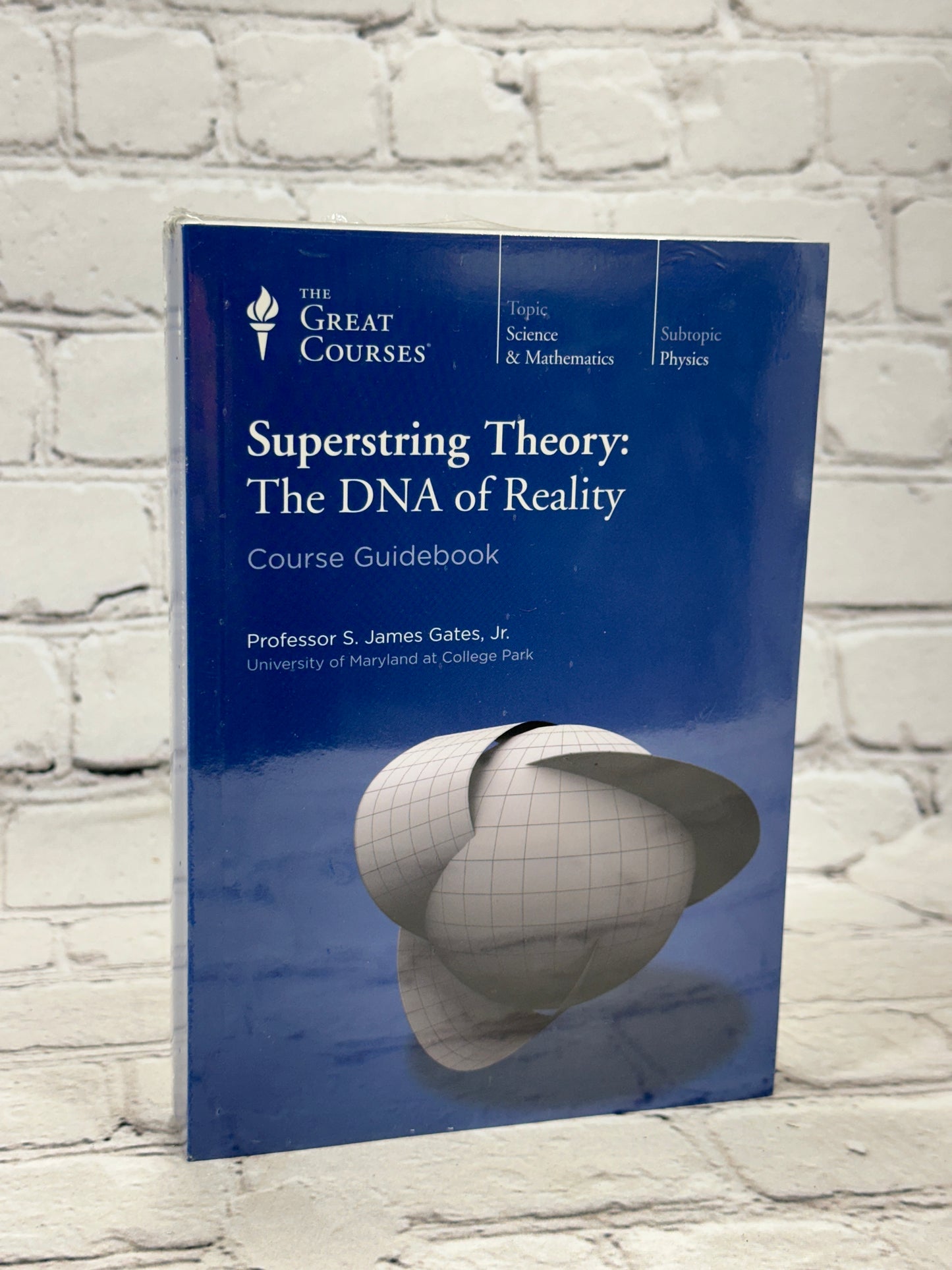 Superstring Theory The DNA of Reality [DVD and Guidebook · The Great Courses]