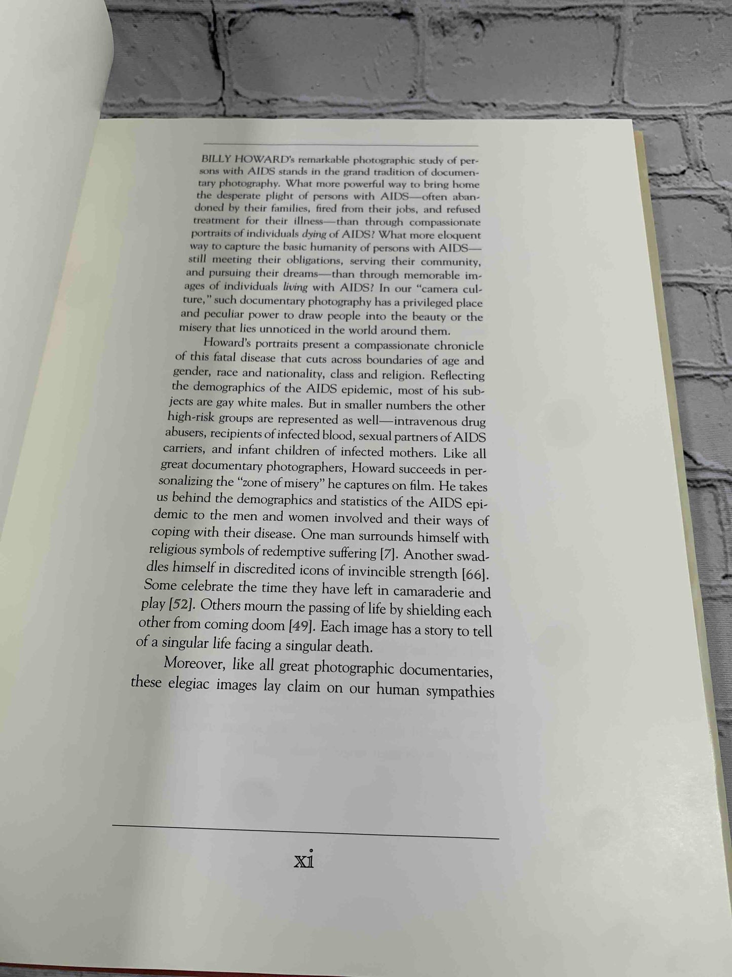 Epitaphs for the Living: Words And Images in the Time of AIDS