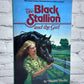 The Black Stallion and the Girl by Walter Farley [Random House · 1971]