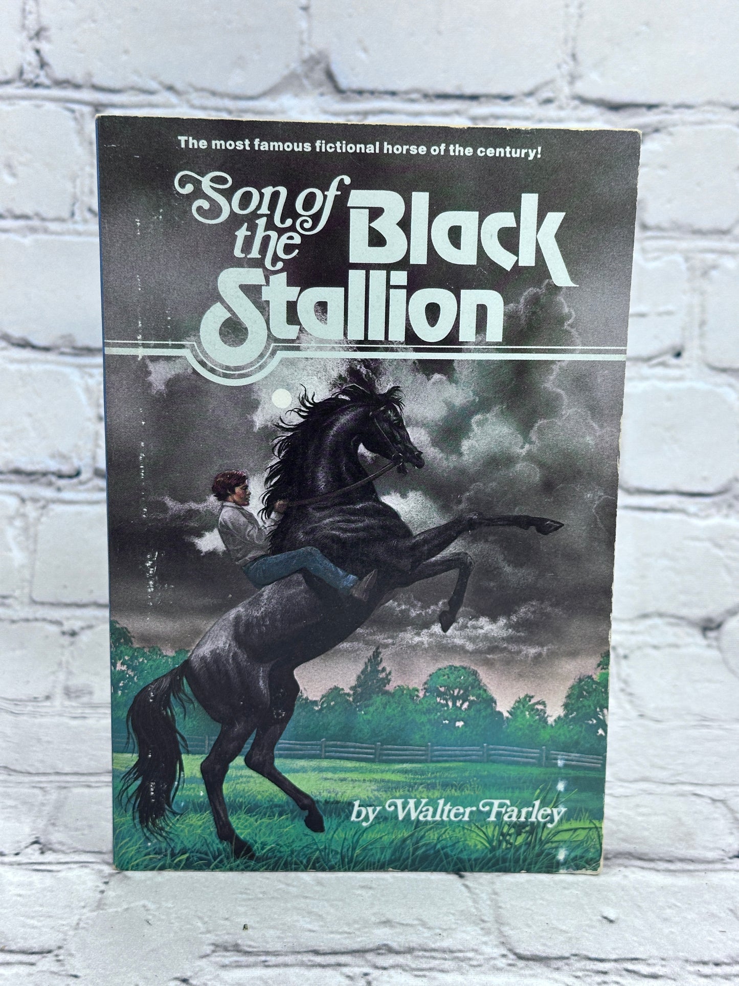 Son of the Black Stallion by Walter Farley [Random House · 1975]