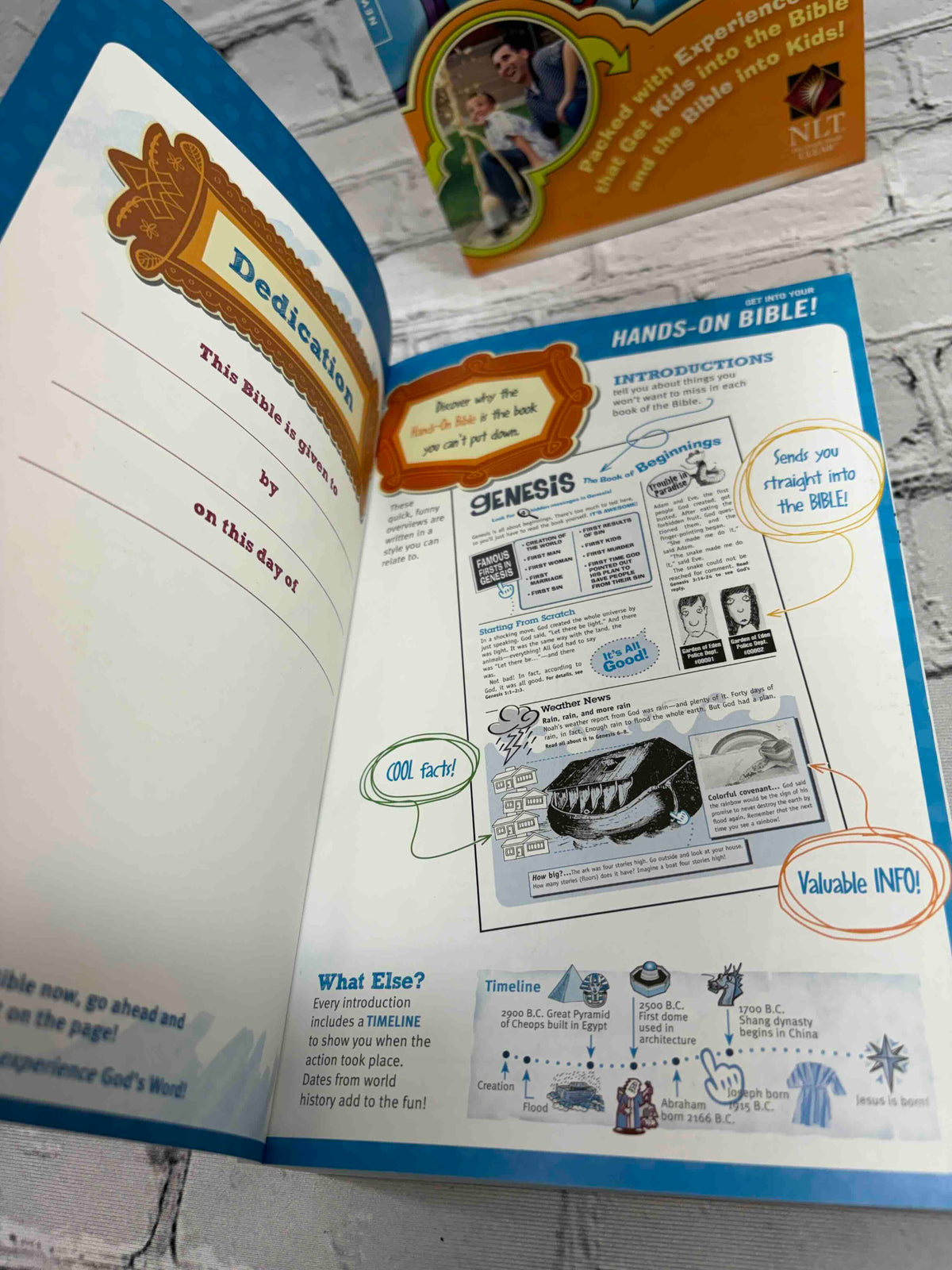 Hands-On Bible New Living Translation