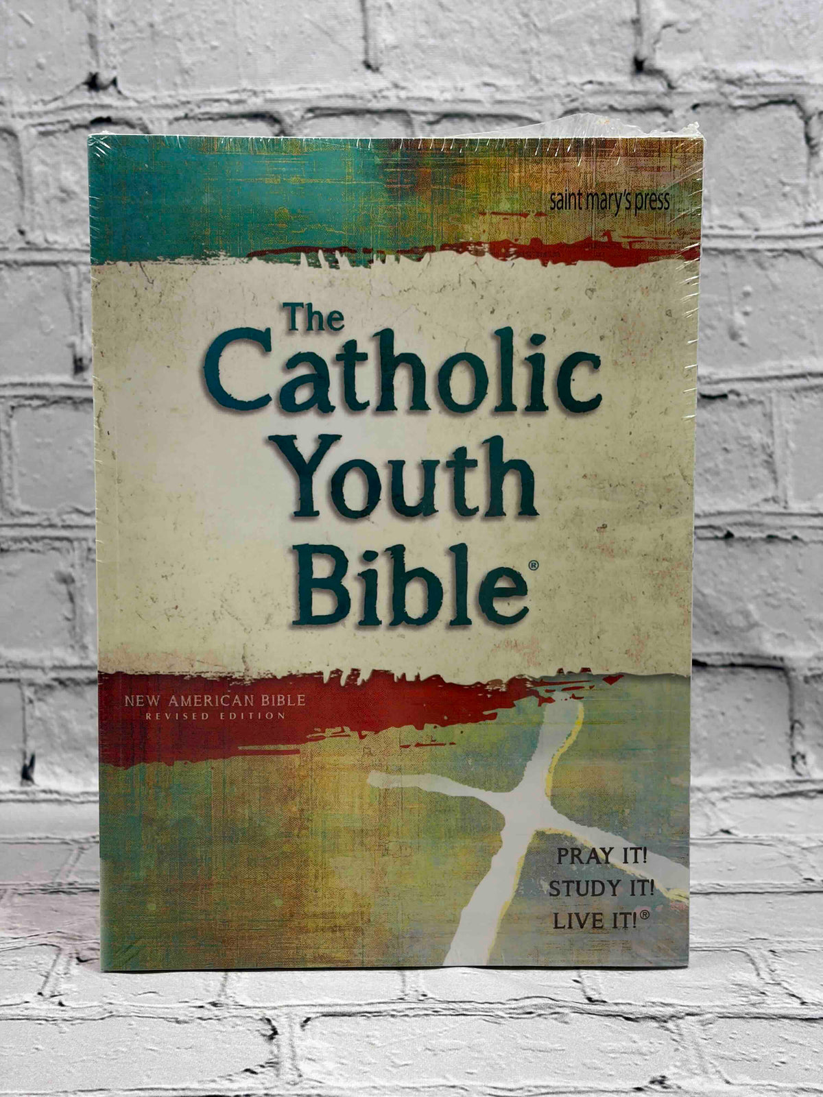 The Catholic Youth Bible New American Bible