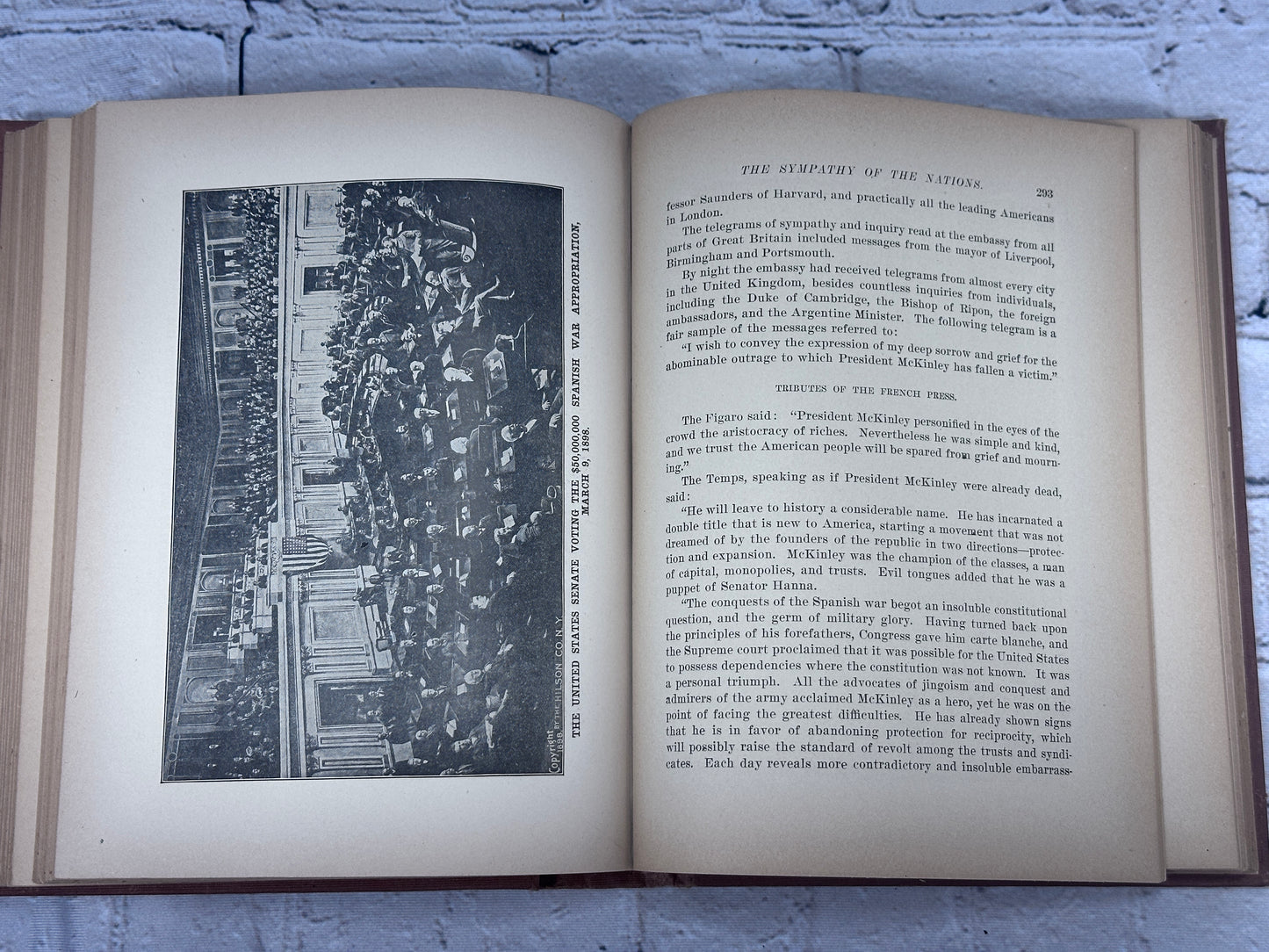 Illustrious Life of William McKinley Our Martyred President By Murat Halstead [1901]