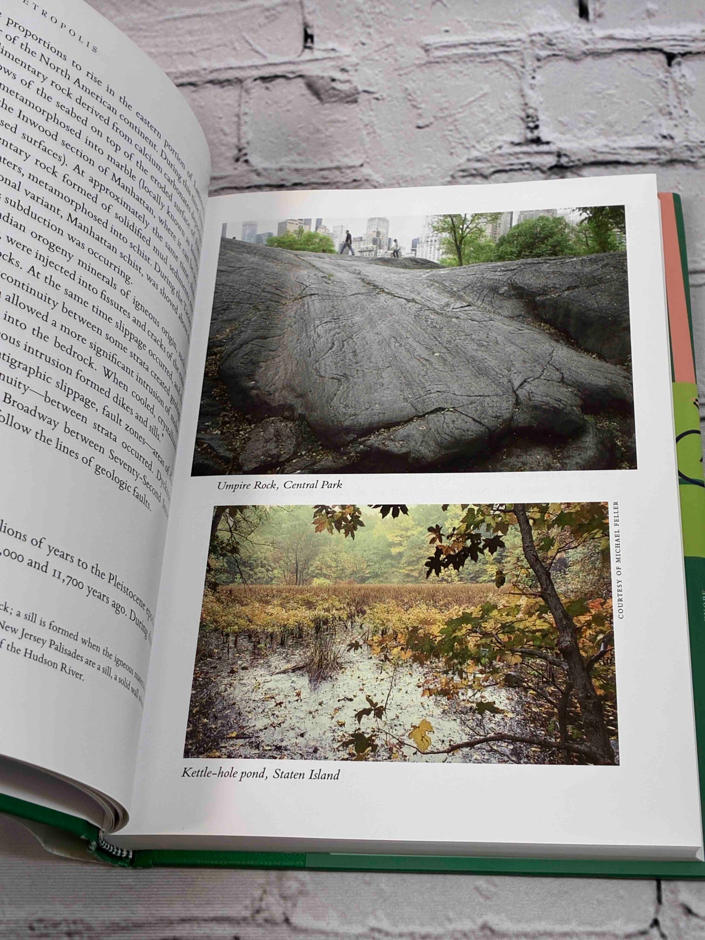 Green Metropolis: The Extraordinary Landscapes of New York City as Nature