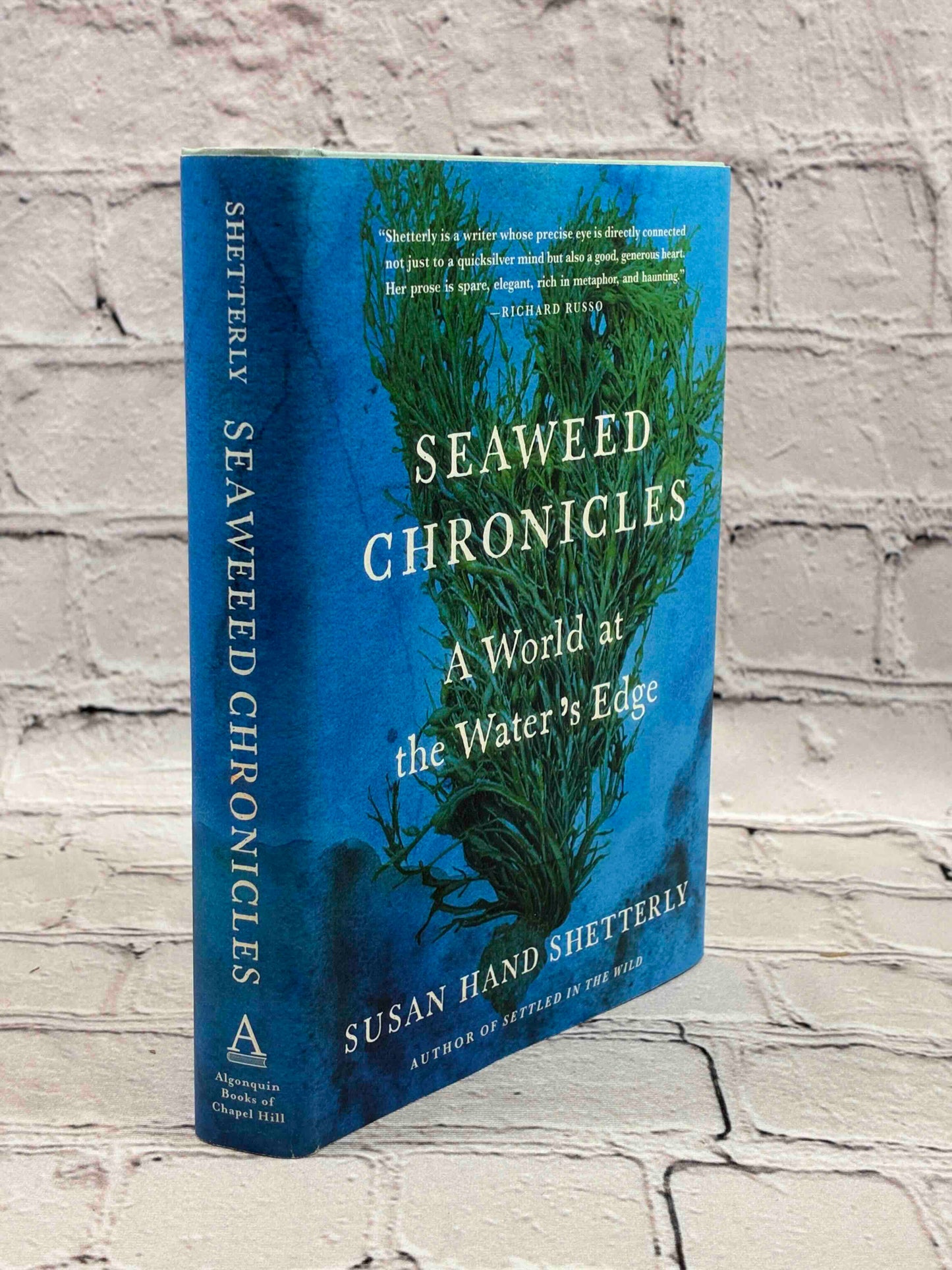 Seaweed Chronicles: A World at the Water’s Edge