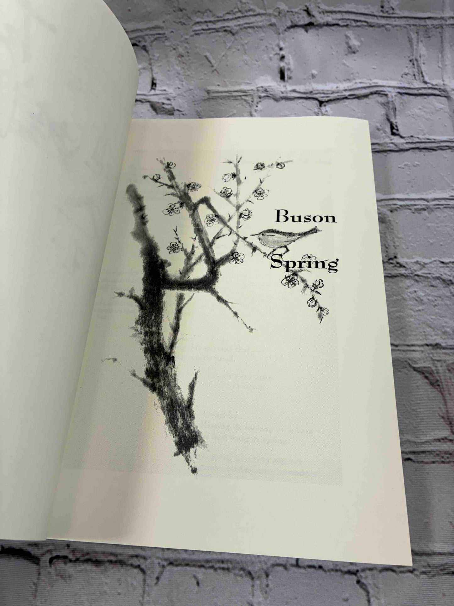 1020 Haiku in Translation: The Heart of Basho, Buson and Issa