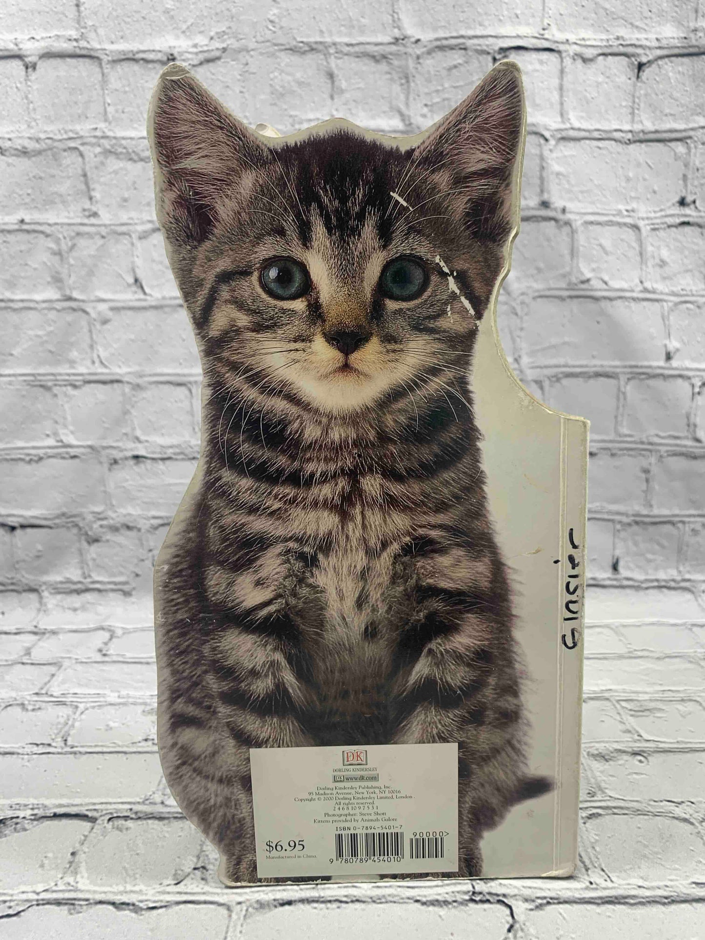 Kitten