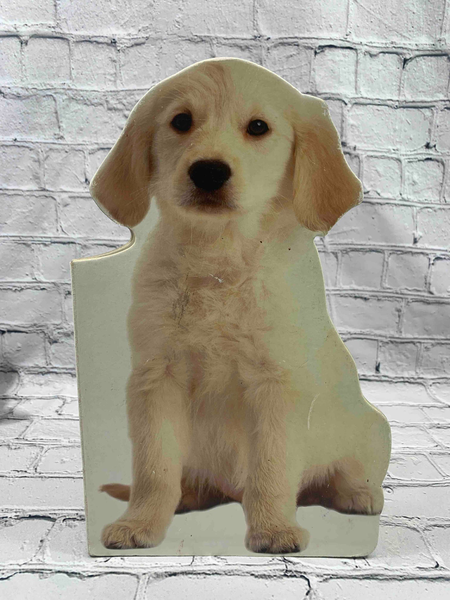 Puppy