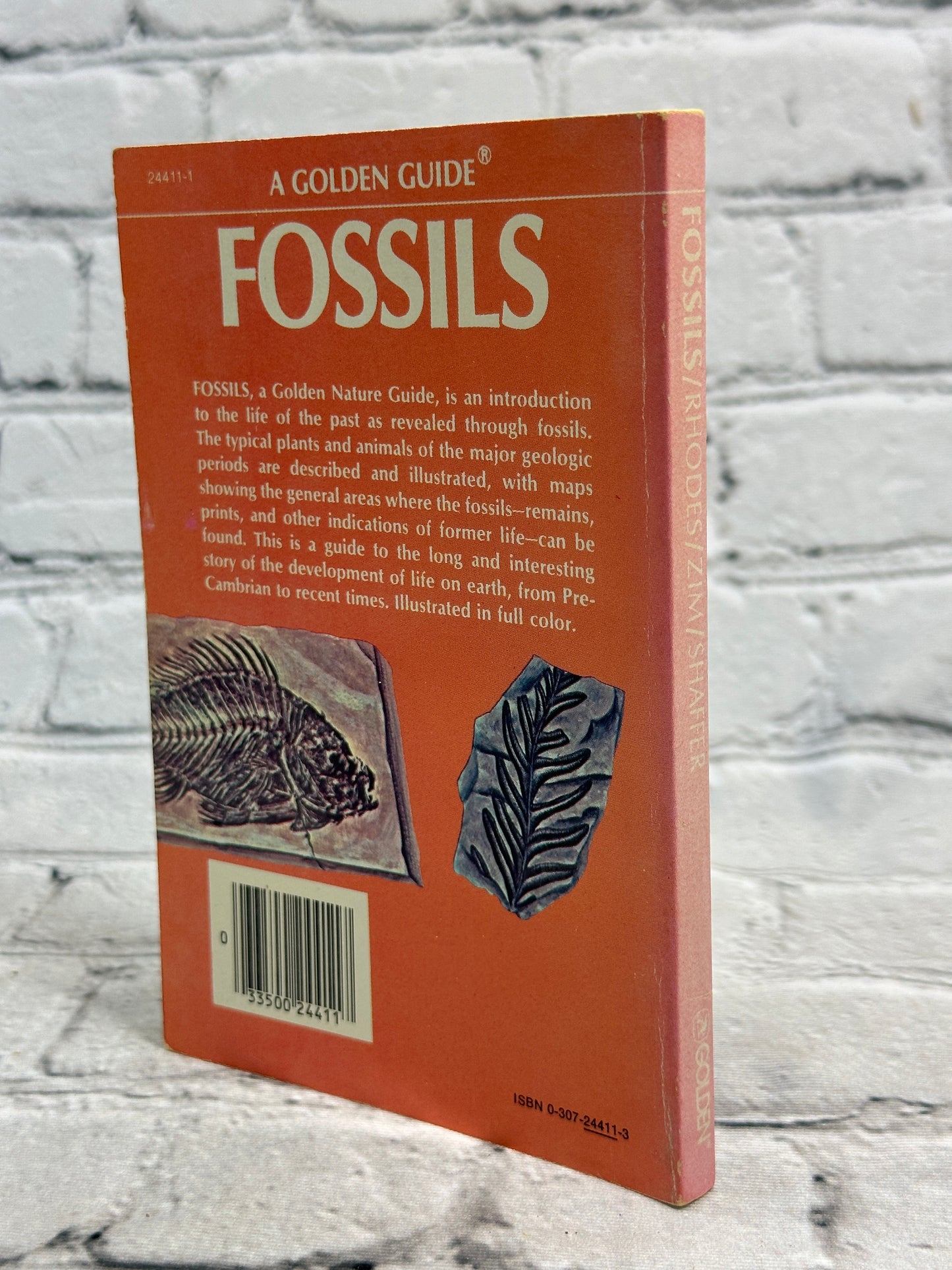 Golden Guide to Fossils [1962]