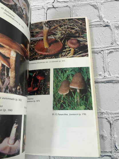 Mushrooms of Western North America