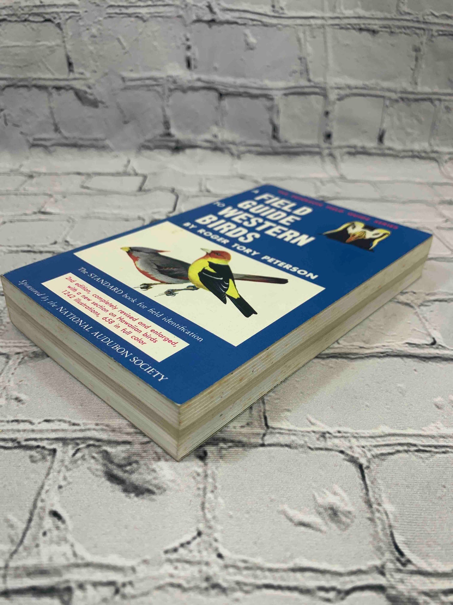 Field Guide to Western Birds (Vol. 2)