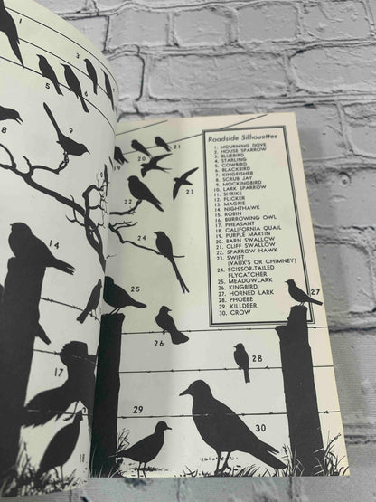 Field Guide to Western Birds (Vol. 2)