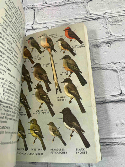 Field Guide to Western Birds (Vol. 2)