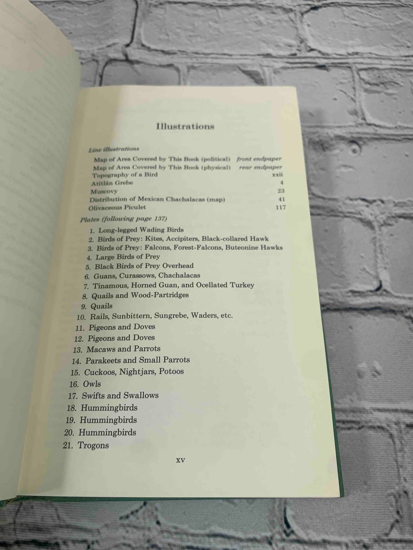 A Field Guide to Mexican Birds (Vol. 20)