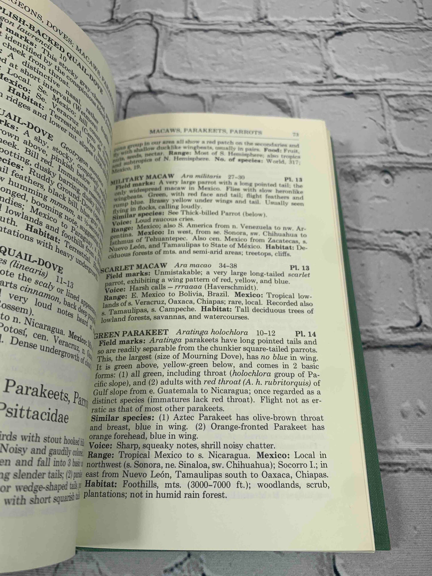A Field Guide to Mexican Birds (Vol. 20)