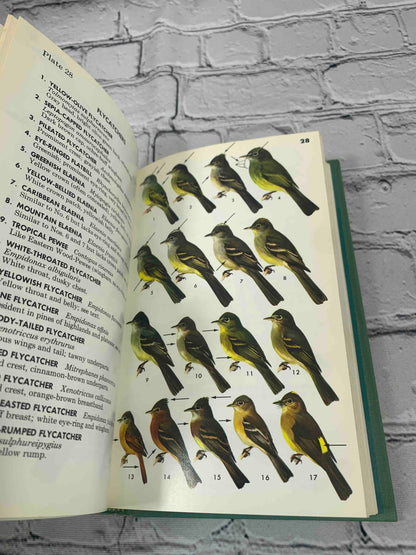 A Field Guide to Mexican Birds (Vol. 20)