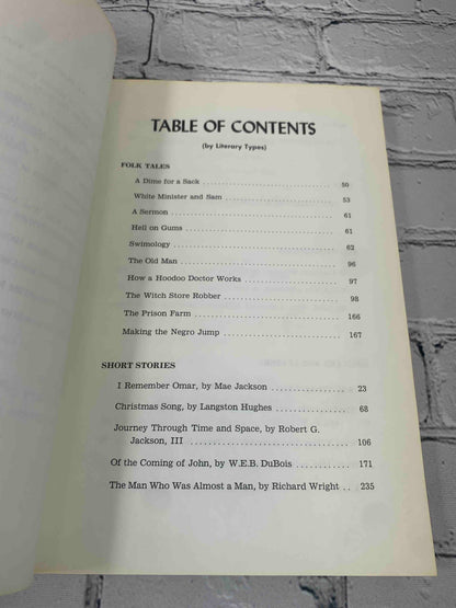 Black Literature An Anthology of Outstanding Black Writers