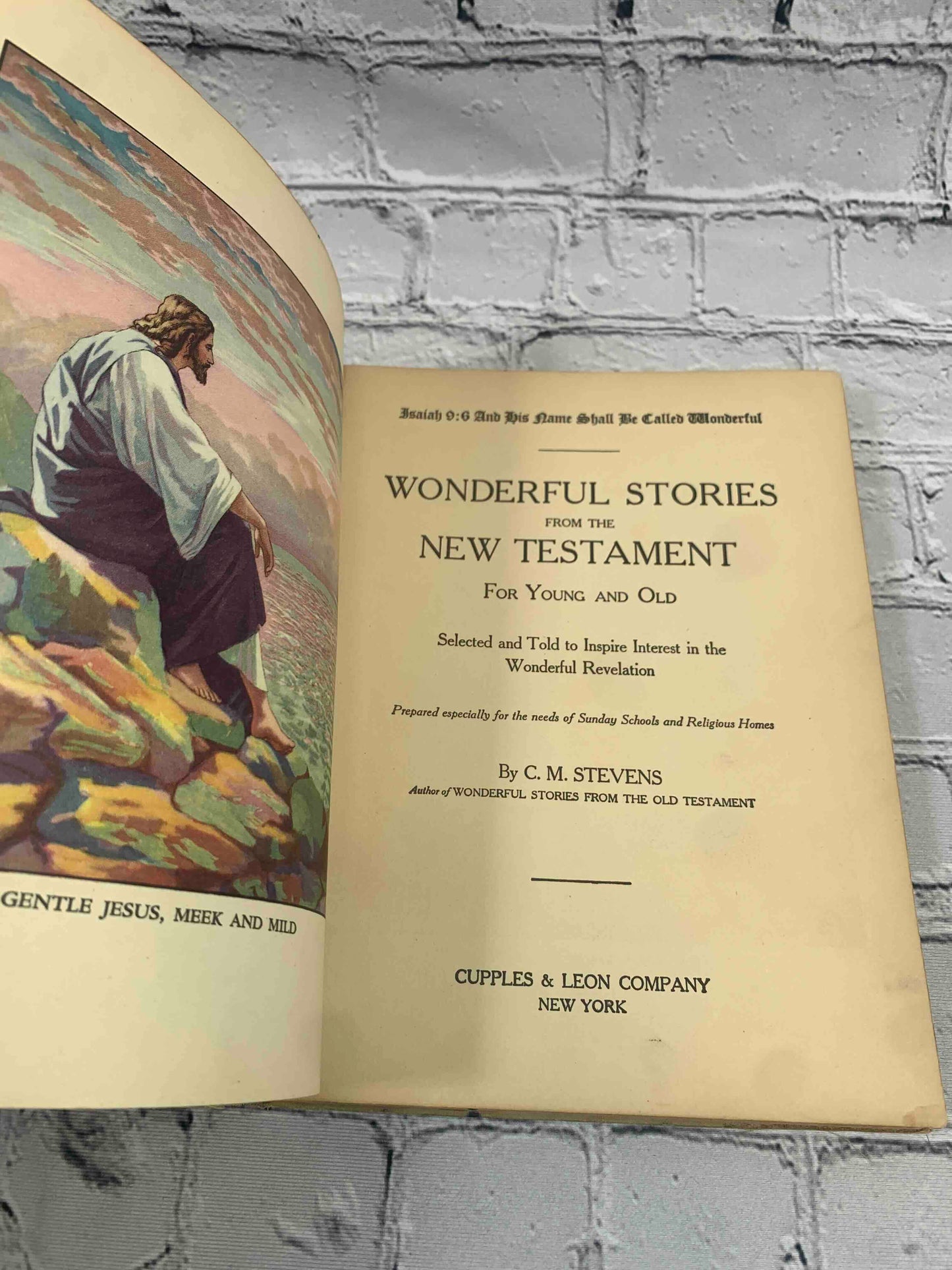 Wonderful Stories from the New Testament for Young and Old