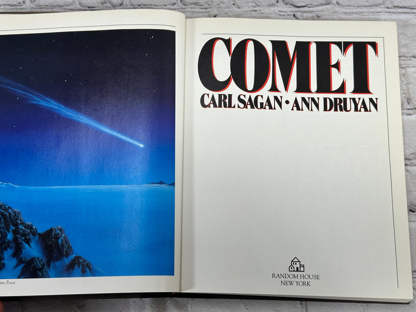 Comet Carl Sagan & Ann Druyan [1st Print · 1985]