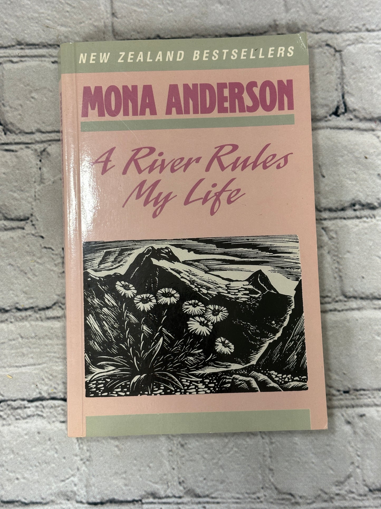 A River Rules My Life by Mona Anderson [1988]