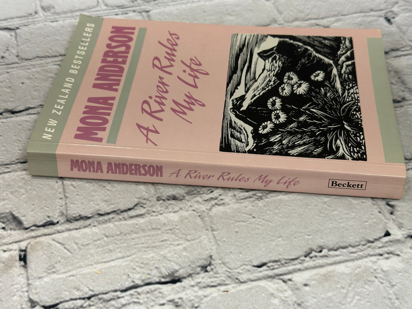 A River Rules My Life by Mona Anderson [1988]