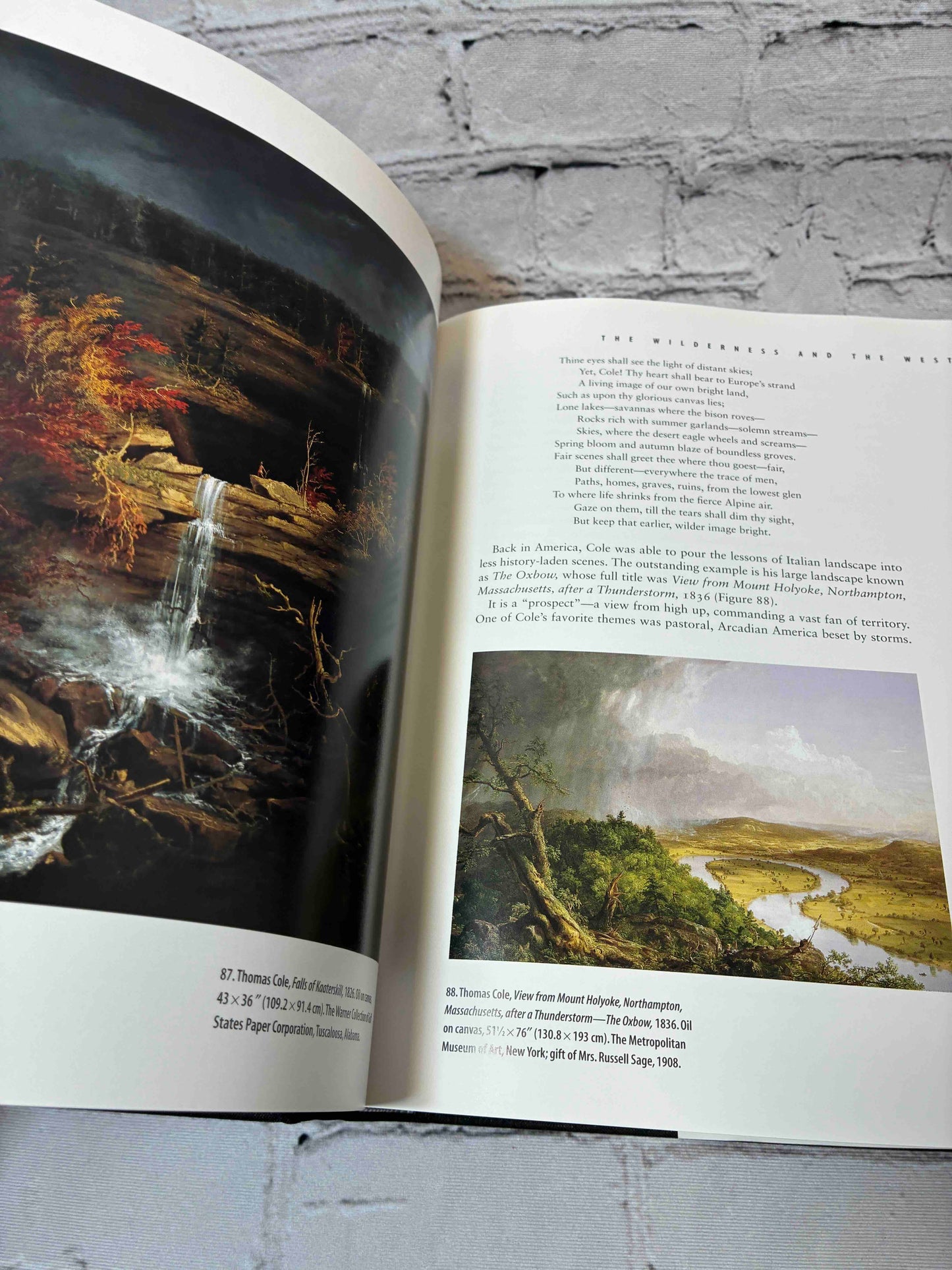 American Visions: The Epic History of Art in America