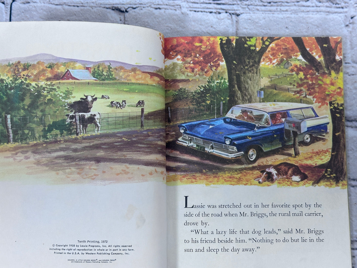 Lassie and Her Day in the Sun by Charles Verral [A Little Golden Book · 1972]