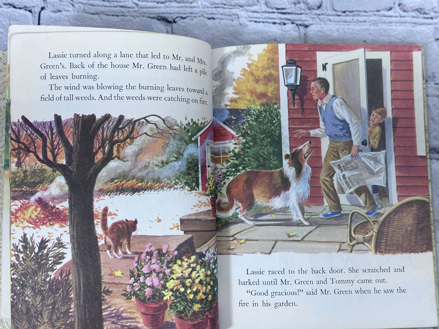 Lassie and Her Day in the Sun by Charles Verral [A Little Golden Book · 1972]