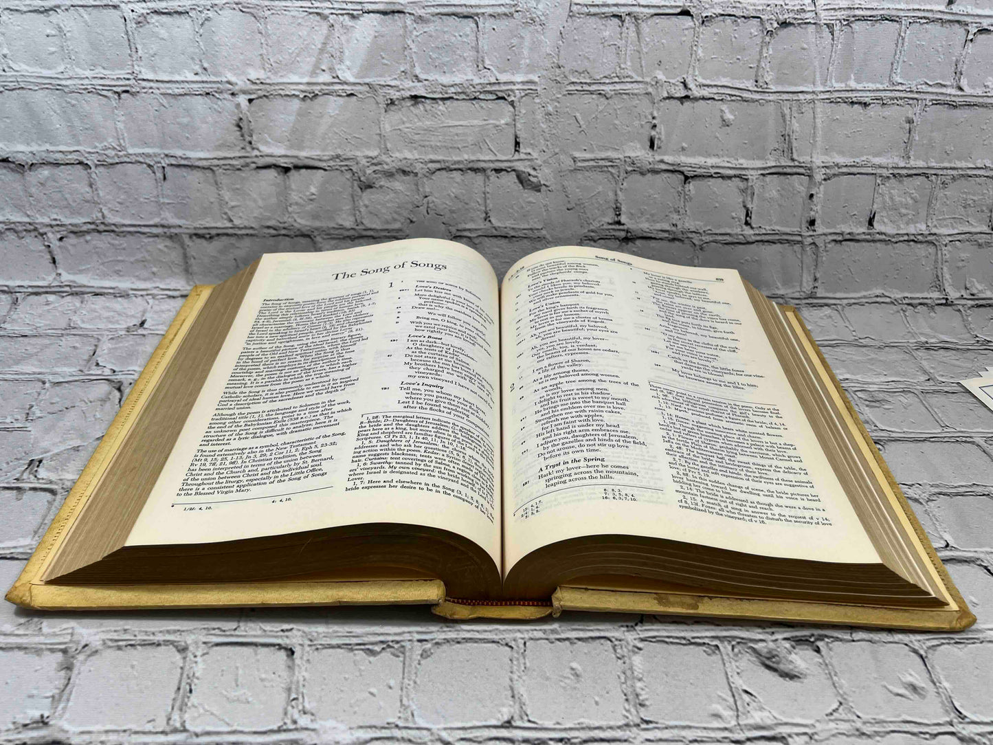 The New American Bible