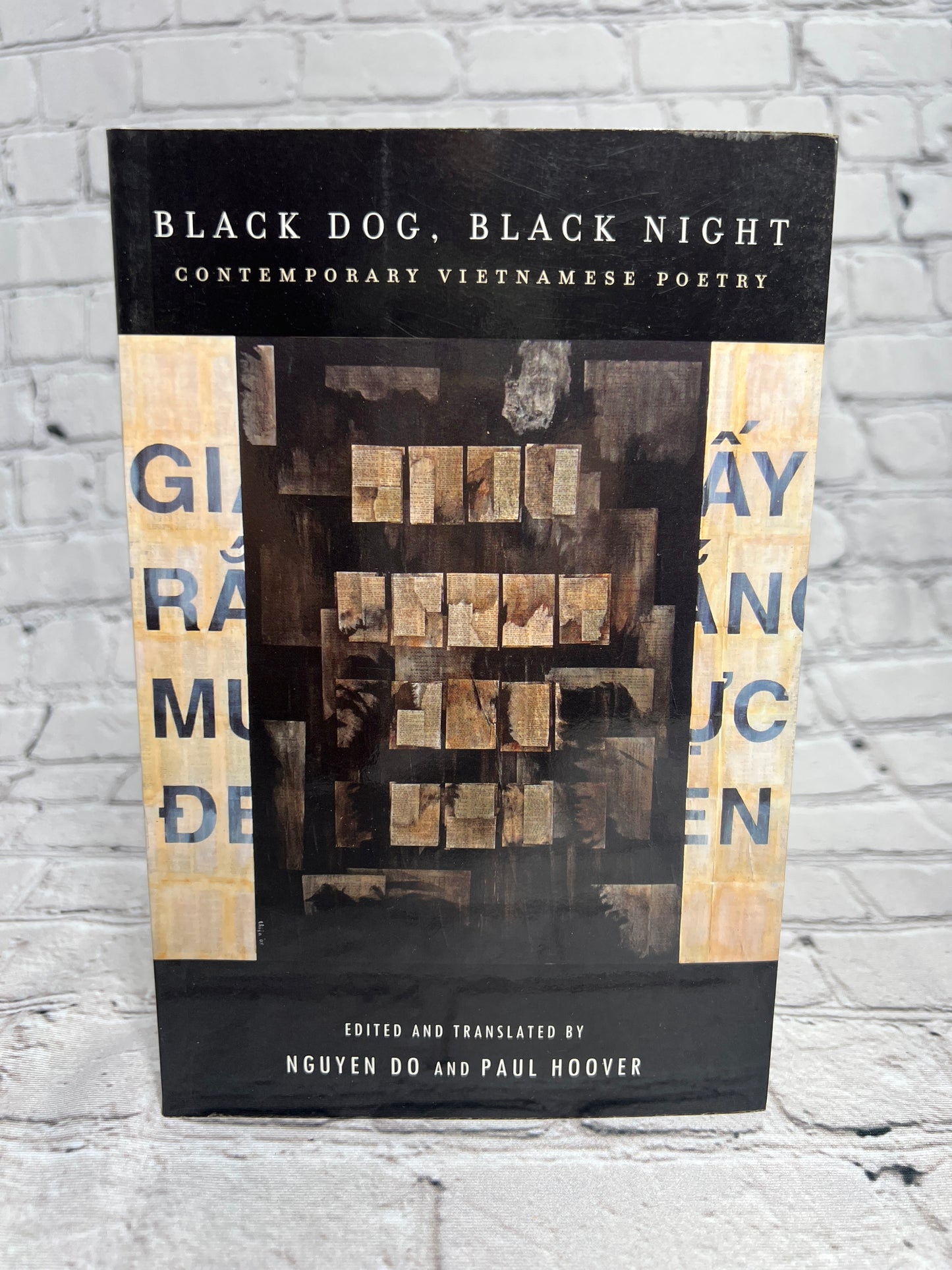 Black Dog, Black Night: Contemporary Vietnamese Poetry