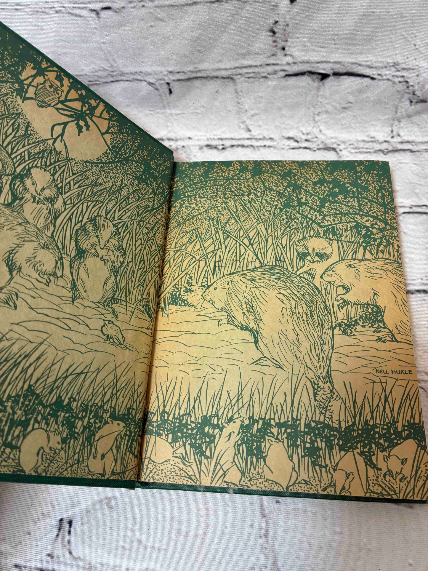 In Field and Forest (Mother Nature Series)