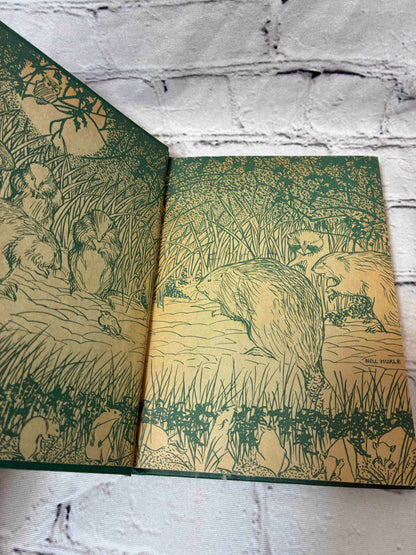 In Field and Forest (Mother Nature Series)