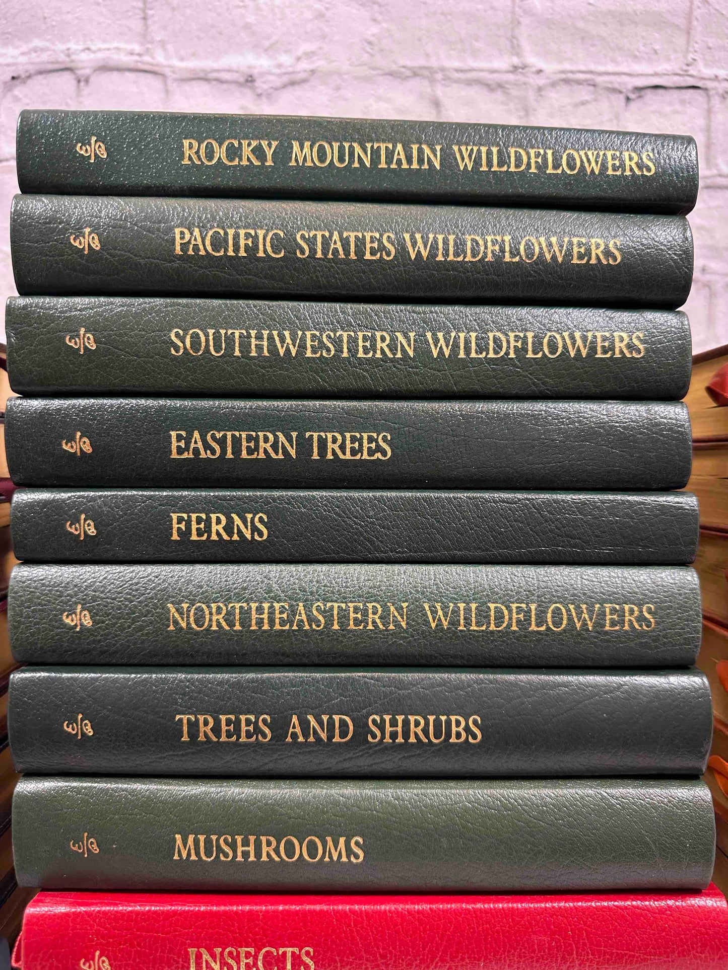 Roger Tory Peterson Field Guides (35 Volumes)