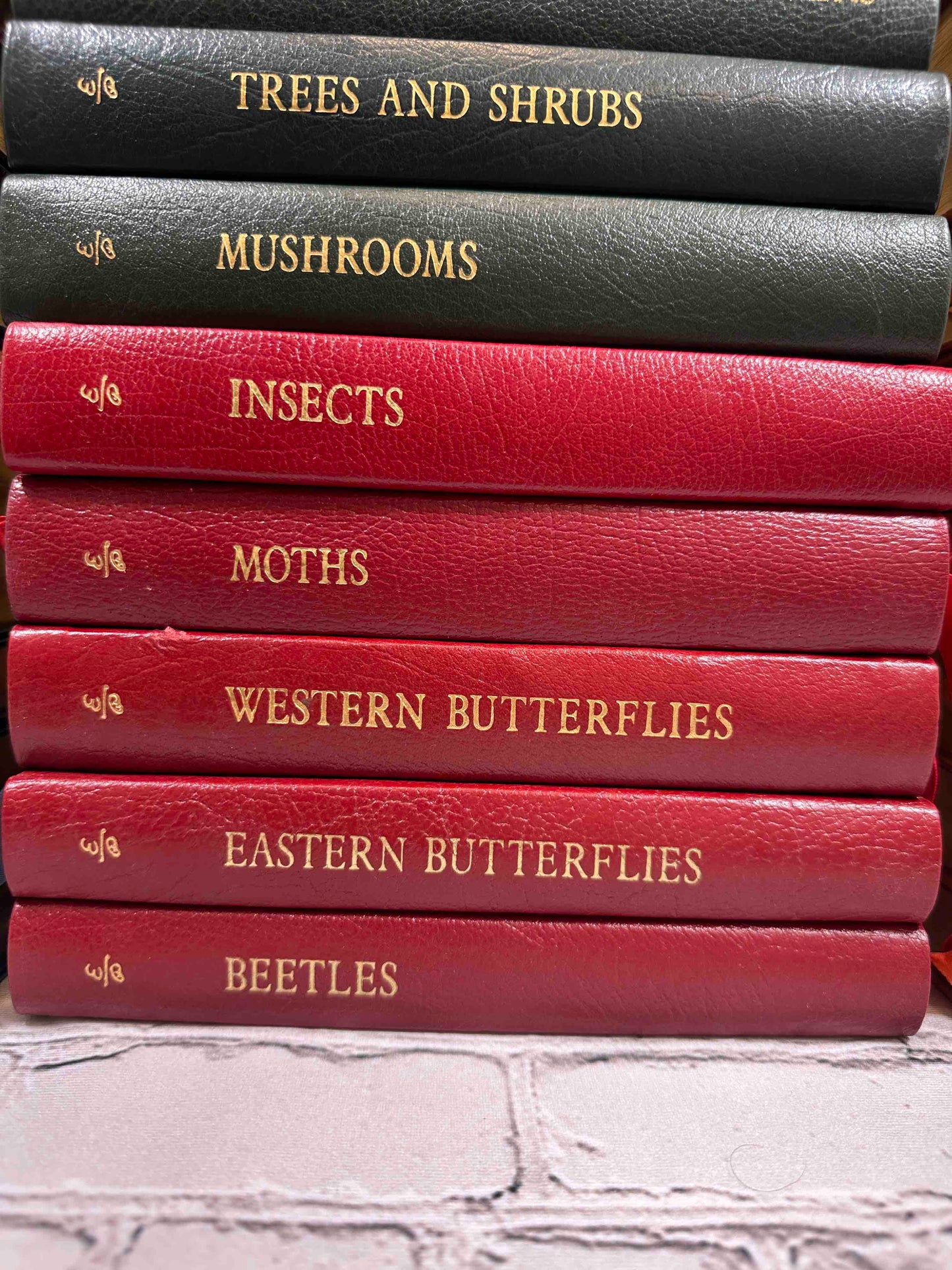 Roger Tory Peterson Field Guides (35 Volumes)