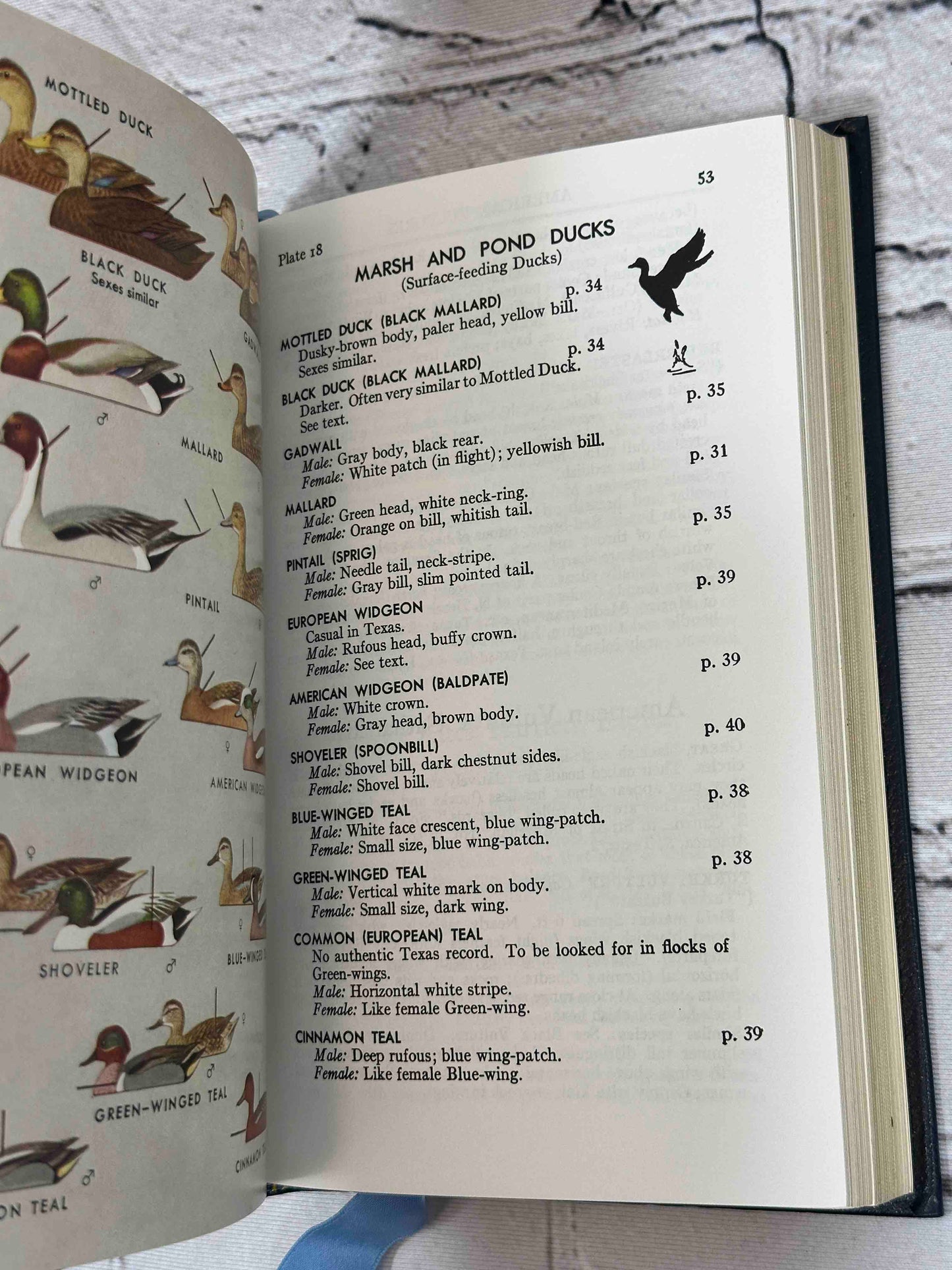 Roger Tory Peterson Field Guides (35 Volumes)