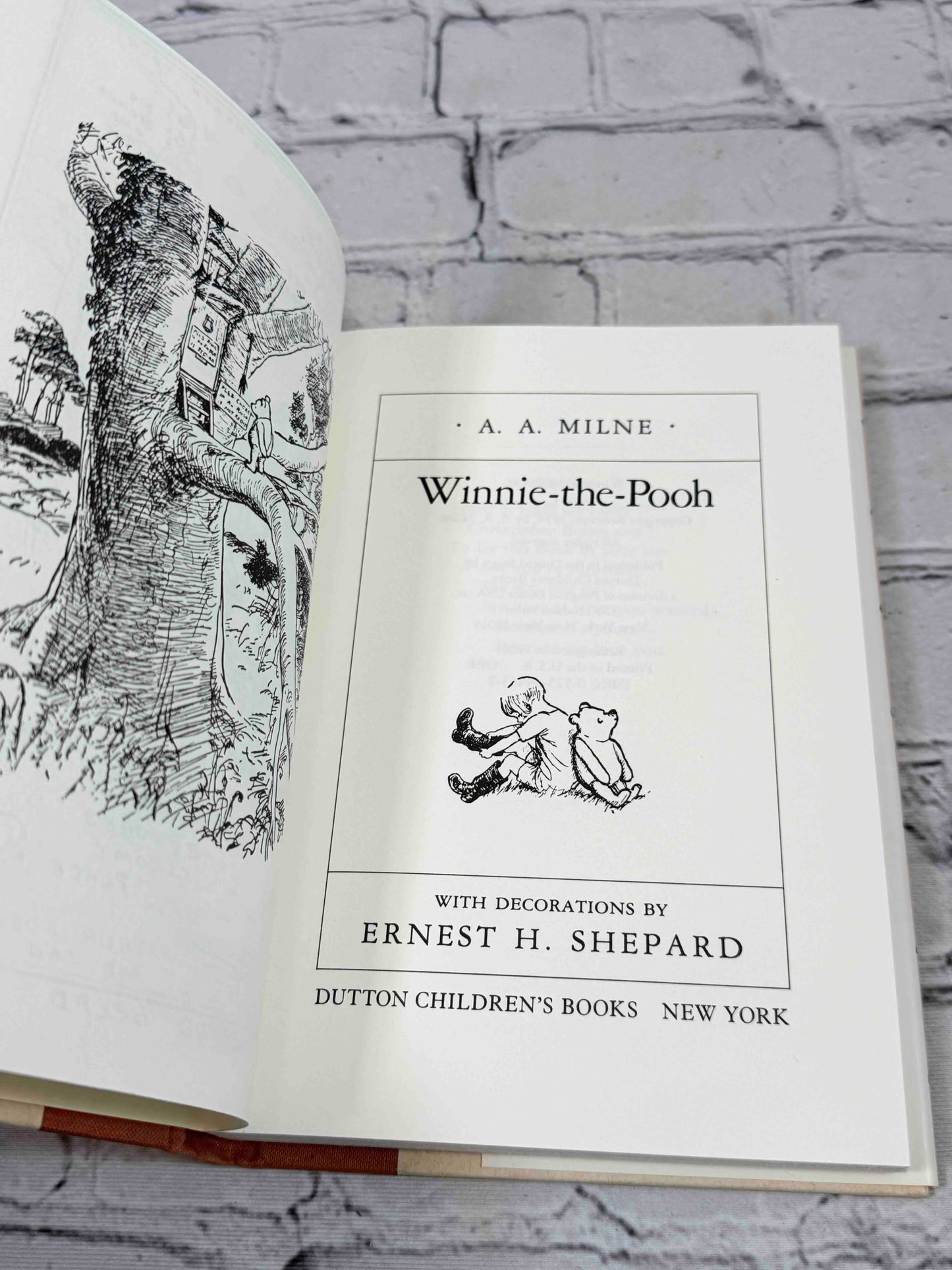 Winnie-the-Pooh