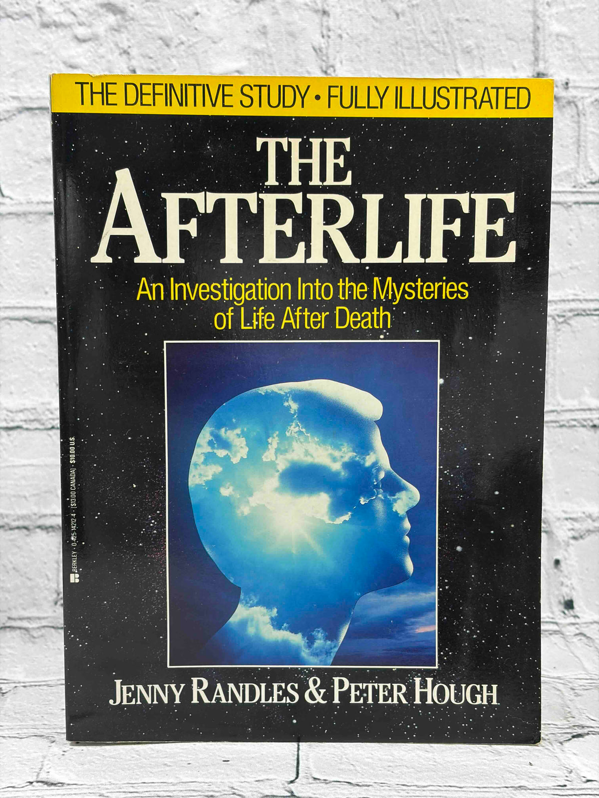 The Afterlife: An Investigation Into the Mysteries of Life After Death
