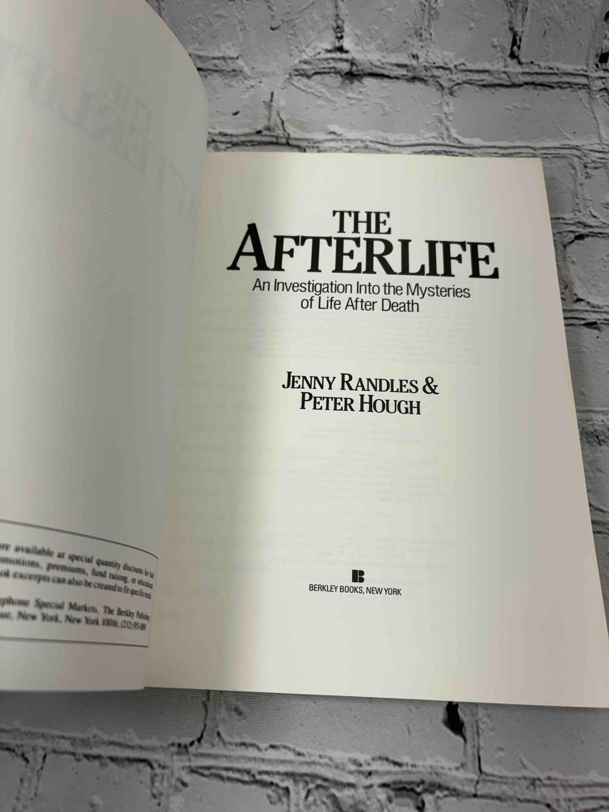 The Afterlife: An Investigation Into the Mysteries of Life After Death