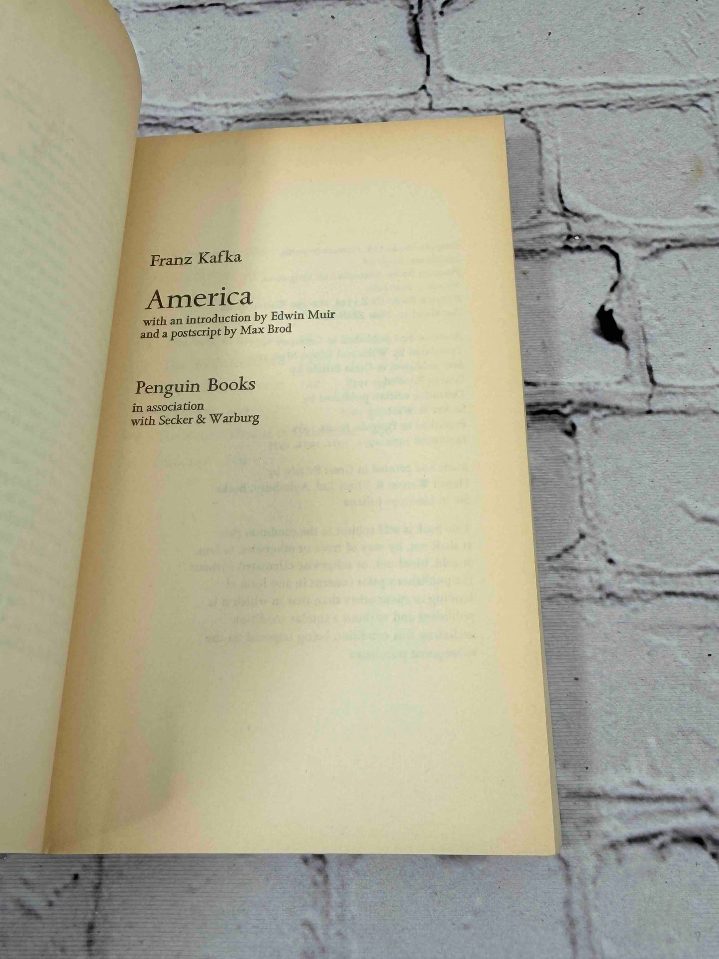 America (Modern Classics)