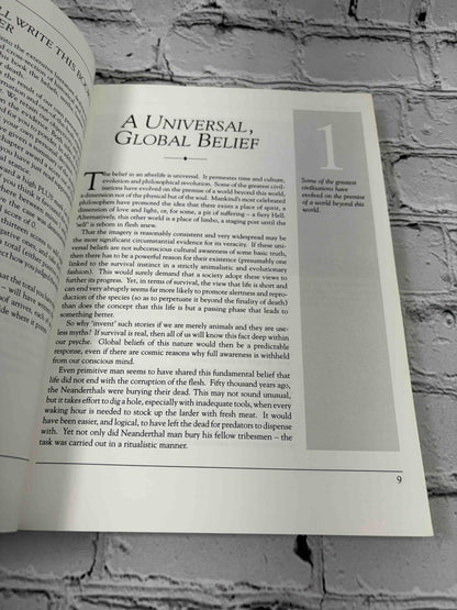 The Afterlife: An Investigation Into the Mysteries of Life After Death